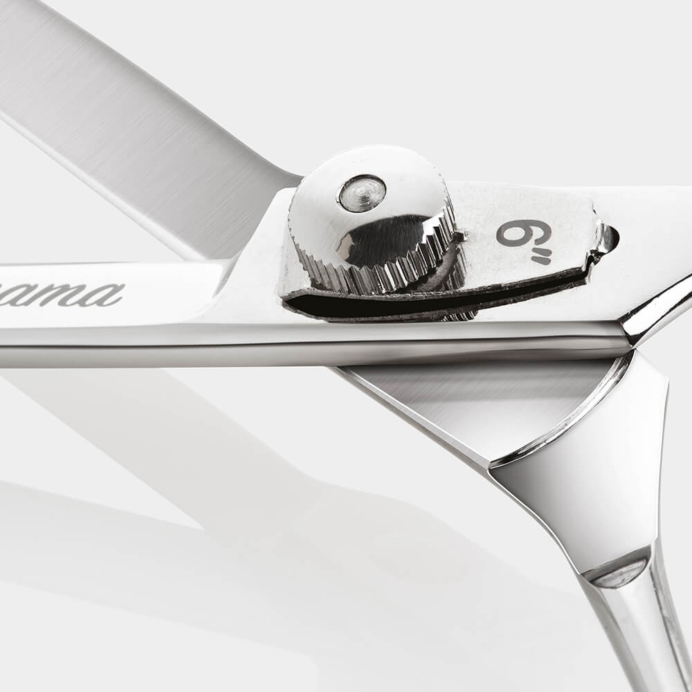 Iwasaki Okayama hairdressing scissor 6