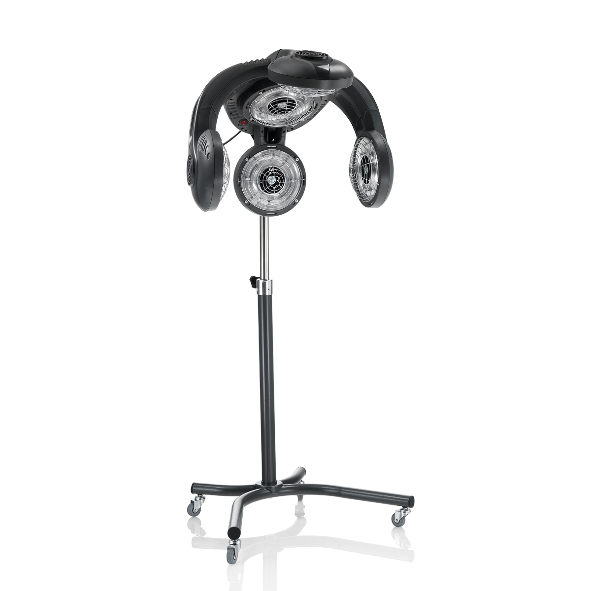 3D Evolution Climason