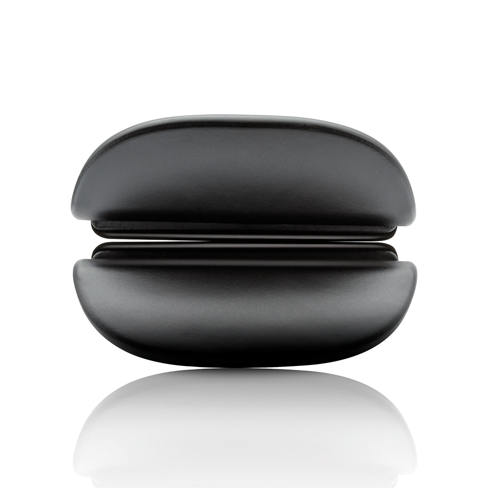 Ionic Giant XL professional straightener