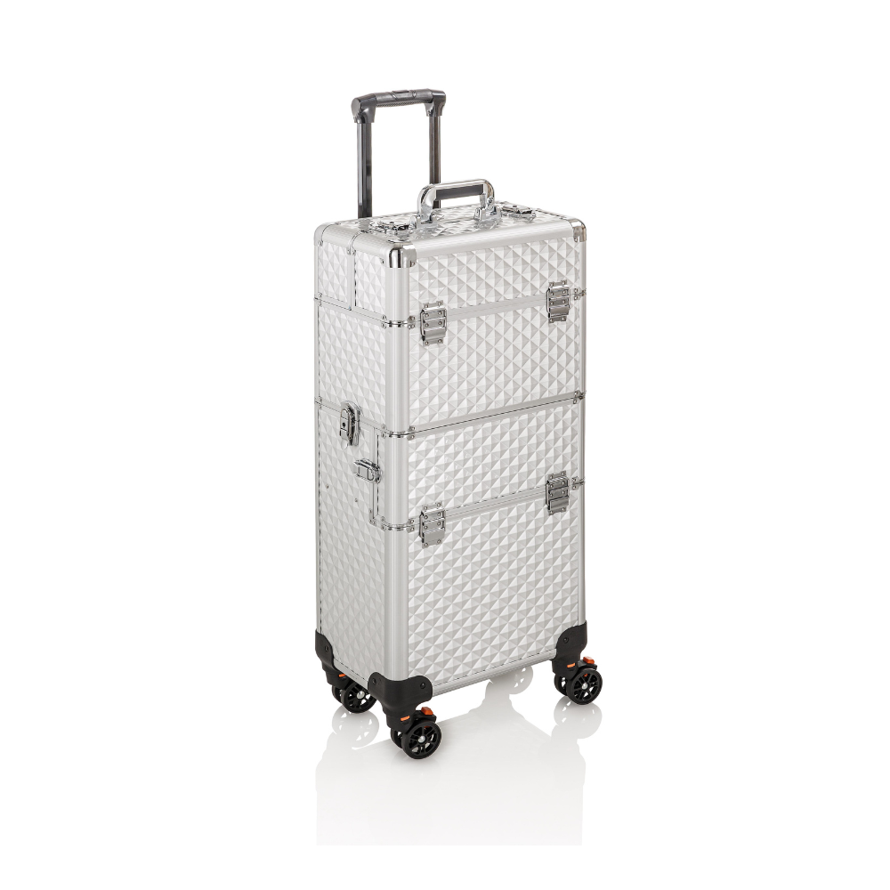 Nica Rigid Trolley Silver