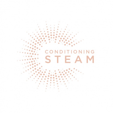 BaByliss Steam Straight Hair Straightener