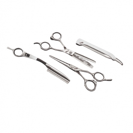 Stage offset professional cuting set with case