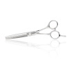 Lameo Executive E2 Regular Thinning scissors 5,5 40 teeth left hand