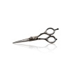 Iwasaki Master Black Shogun Hairdressing scissor 5,5