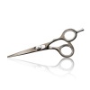 Iwasaki Master Black Shogun Hairdressing scissor 6